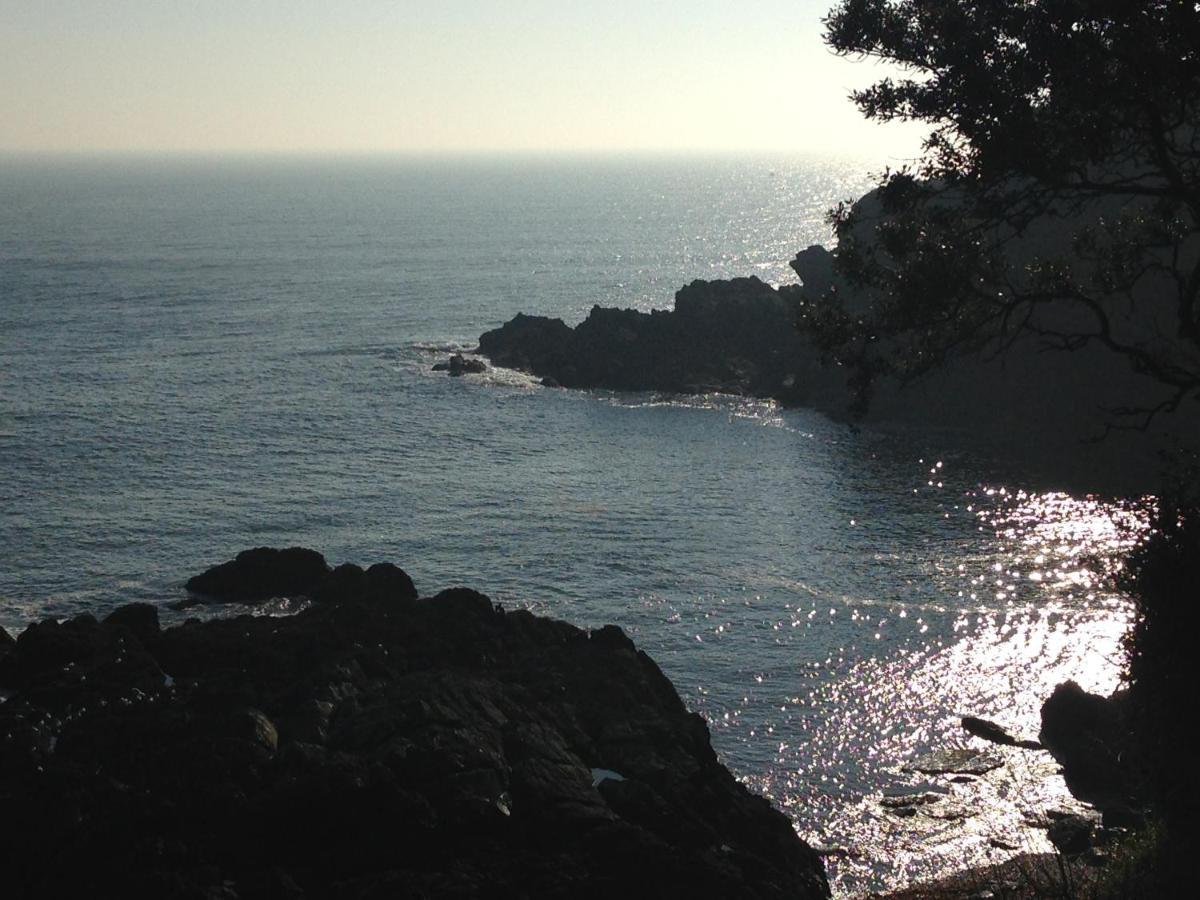 Вилла Bay View, Millendreth Looe Cornwall Экстерьер фото